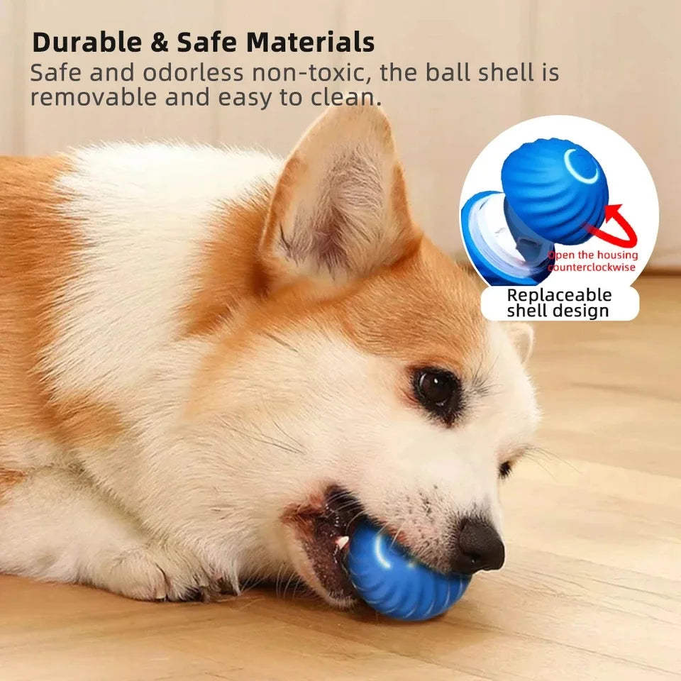 SmartBall Rechargeable Automatic Dog Toy