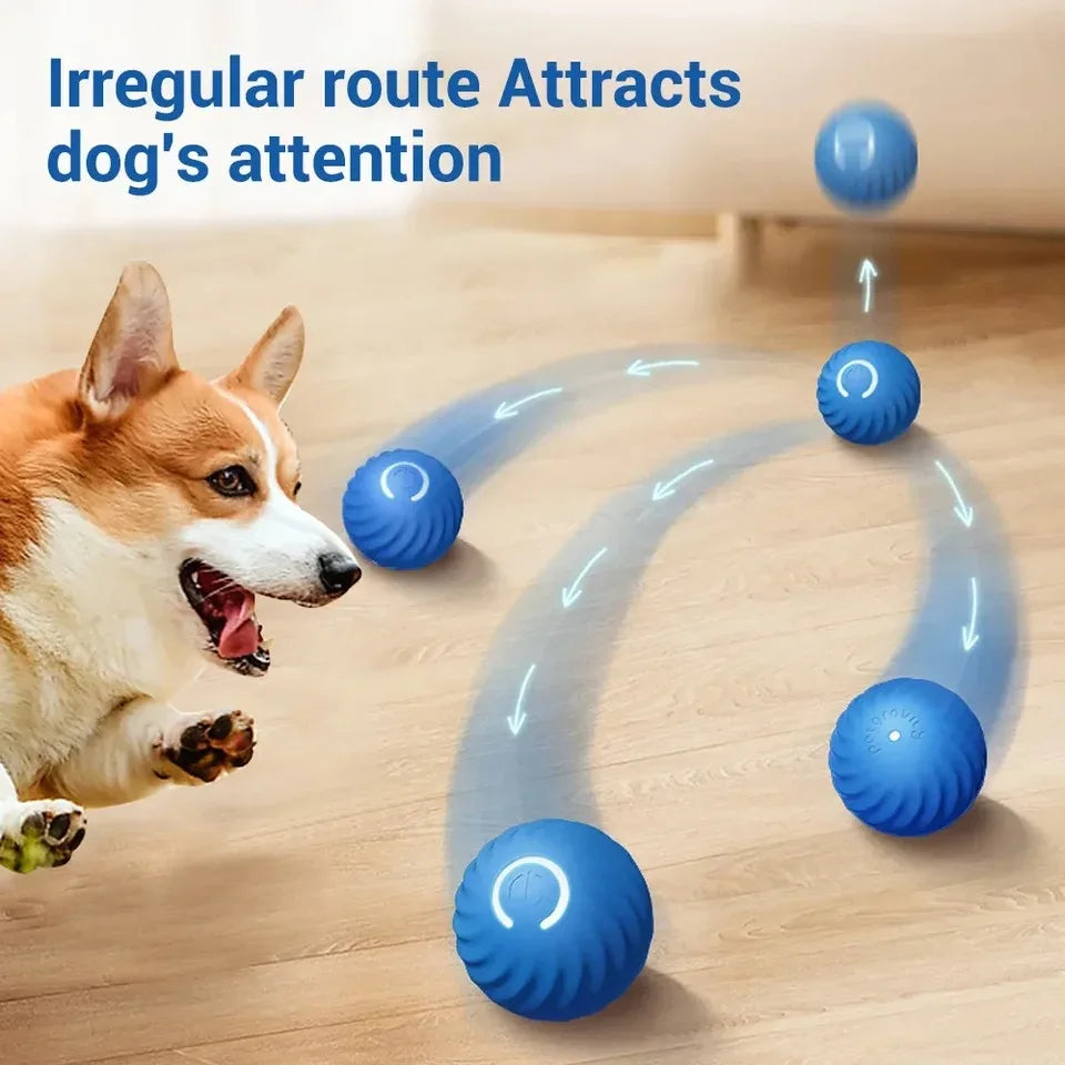 SmartBall Rechargeable Automatic Dog Toy